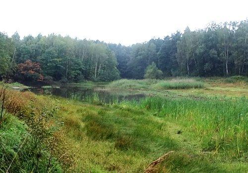 Odonatrix 13_5(2017) 2 Fot. 2. Staw Górnik w Katowicach-Giszowcu pod koniec lata Phot. 2. "Górnik" Pond in Katowice-Giszowiec in the end of summer Ryc. 1 Mapa obszaru badań Fig. 1. Map of field studies Materiał i metody.