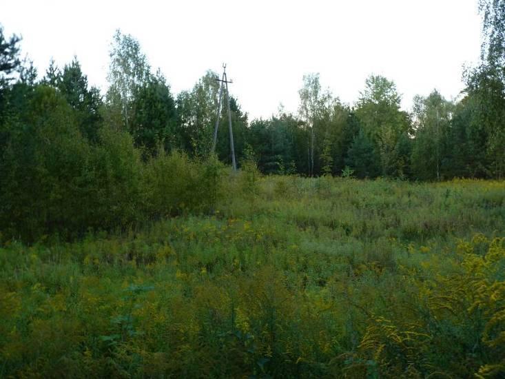 4. INFORMACJE O MOLIWYM TRANSGRANICZNYM ODDZIAYWANIU NA RODOWISKO Z uwagi na skal opracowania oraz poenie w odlegci okoo 50 km na poudnie od pónocnej granicy kraju w wyniku realizacji ustale projektu