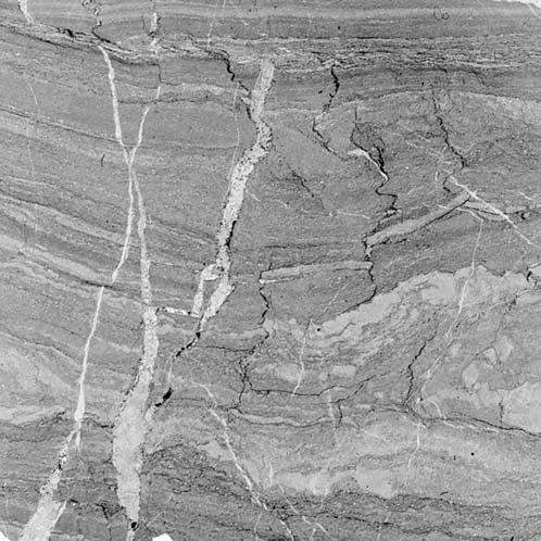 dolomit z nodularnymi pseudomorfozami po siarczanach (ladyn, Szalony Wierch, jednostka kri niañska). Wed³ug Kotañskiego (1954) dolomit groszkowy ; B szczegó³y ryc. A.