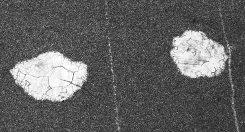 dolomit pochodzenia mikrobialnego z dolomitowymi pseudomorfozami po siarczanach tworz¹cymi struktury typu enterolitycznych (górny olenek, Dolina Stare Sza³asiska, jednostka wierchowa); E dolomit z