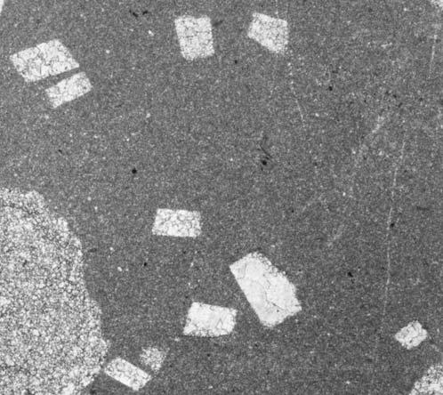Nodular pseudomorphs after sulfates filled by sub- to anhedral crystals of dolomite; C dolomite with rhombohedral pseudomorphs after gypsum (Anisian, Giewont section, High-Tatric Unit); D laminated