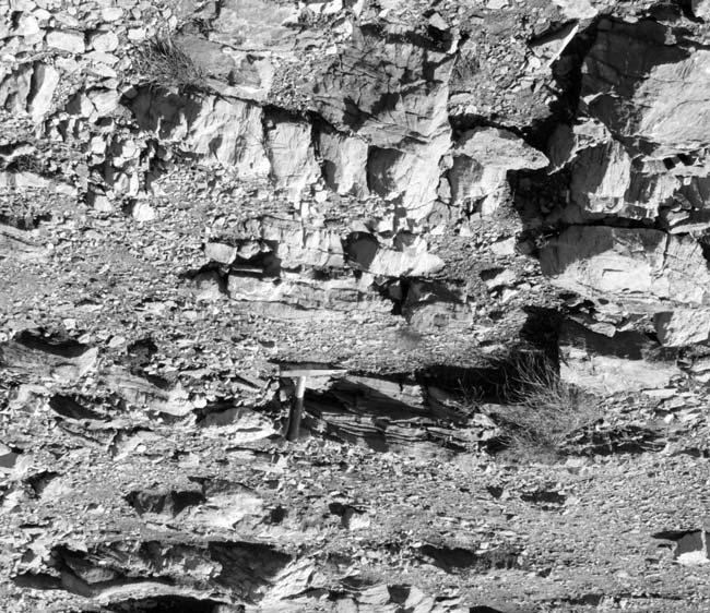 Ryc. 3. Dolomity z prze³awiceniami ciemnych wapieni marglistych i mu³owców wapnistych (warstwy myoforiowe, górny olenek, Giewont, jednostka wierchowa).