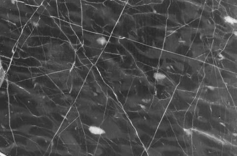 0,6 ± 0,1), podobna jak w przypadku uprzednio opisanych dolomitów (dla dolomitów Sr/Ca 1000 = 0,5 ± 0,2), a zarazem niska zawartoœæ magnezu (MgO = 1,3 ± 0,3% wag.