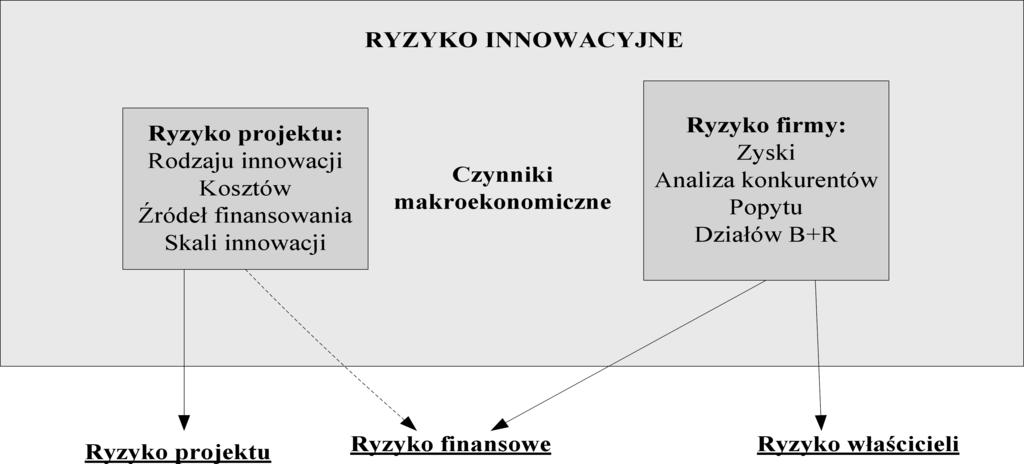 stwo wystąpienia różnych konsekwencji danego wyboru.