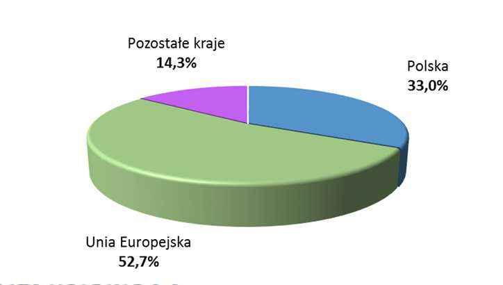 404 6,9% 25,3% Elementy złączne 66 933 69 085-3,1% 21,3% Działalność pozaprodukcyjna 445 879-49,4% 0,1% Sprzedaż