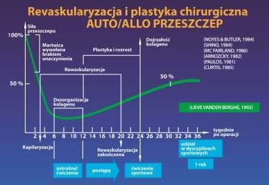Grupa wolna" wykonywała ćwiczenia, które wywoływały duże napięcie ACL kilka tygodni póniej niż grupa szybsza".