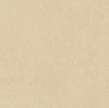 59,8x59,8 Optimum