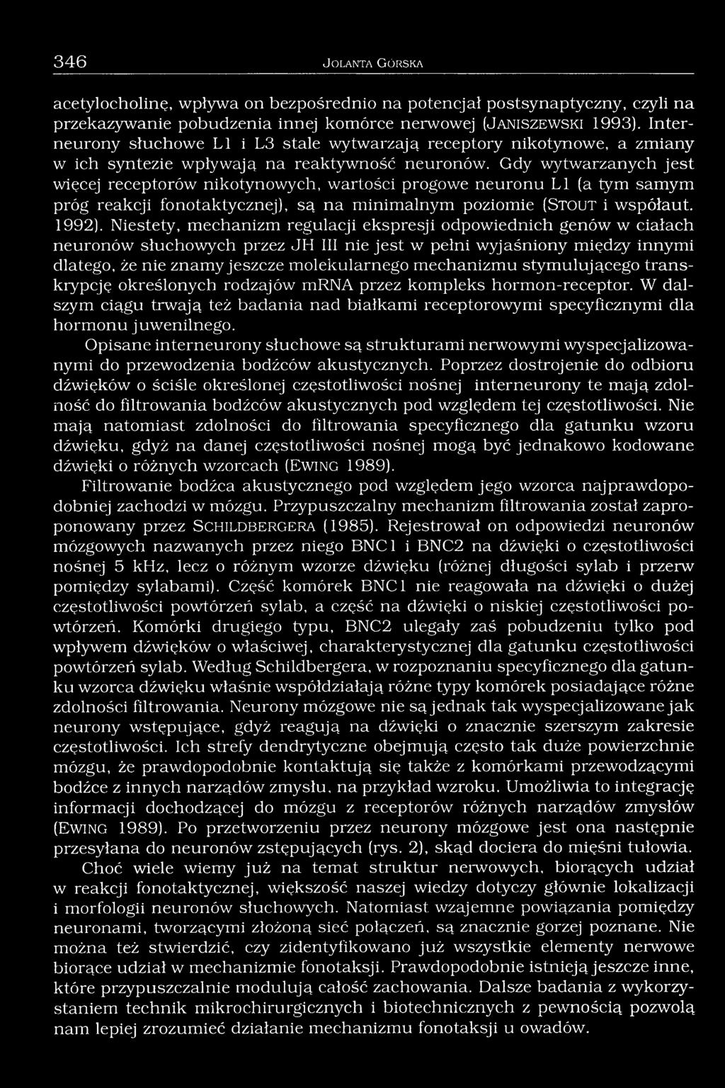 Gdy wytwarzanych jest więcej receptorów nikotynowych, wartości progowe neuronu LI (a tym samym próg reakcji fonotaktycznej), są na minimalnym poziomie (Stout i współaut. 1992).