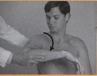 Posterior instability