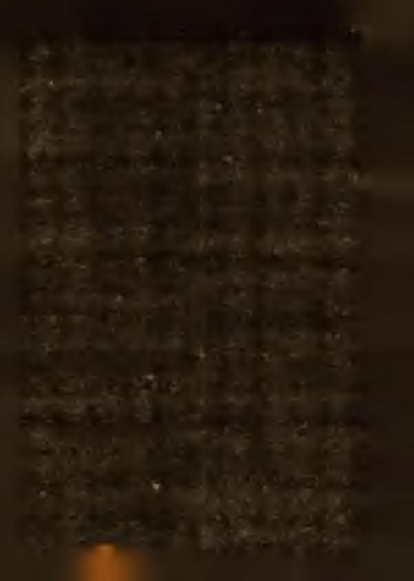 3) Bycul W alentyna c. A ntoniego ur. 20/X. 1913 r., zam. w B iałym stoku przy ul. N ow ej N r 28 - dow odu osobistego, w yd. przez b. w ładze okupacyjne niem ieckie w B iałym stoku.