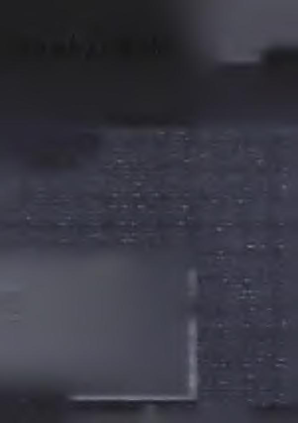 A hižo zhubi so w durjach jedneje chĕže z wjele firmowymi taflemi. Docyła mi napadnje, kelko ludži po puću jĕ. Nĕkotři chodźa tež z kofejo- wym nopaškom po drćze.