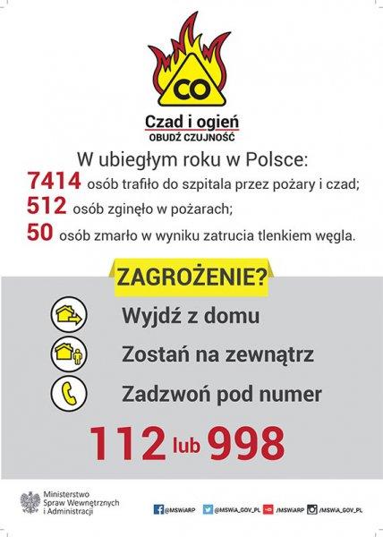 Potencjalne źródła czadu w pomieszczeniach mieszkalnych to kominki, gazowe podgrzewacze wody, piece węglowe, gazowe lub olejowe i kuchnie gazowe. Powstaje w wyniku niepełnego spalania wielu paliw, m.