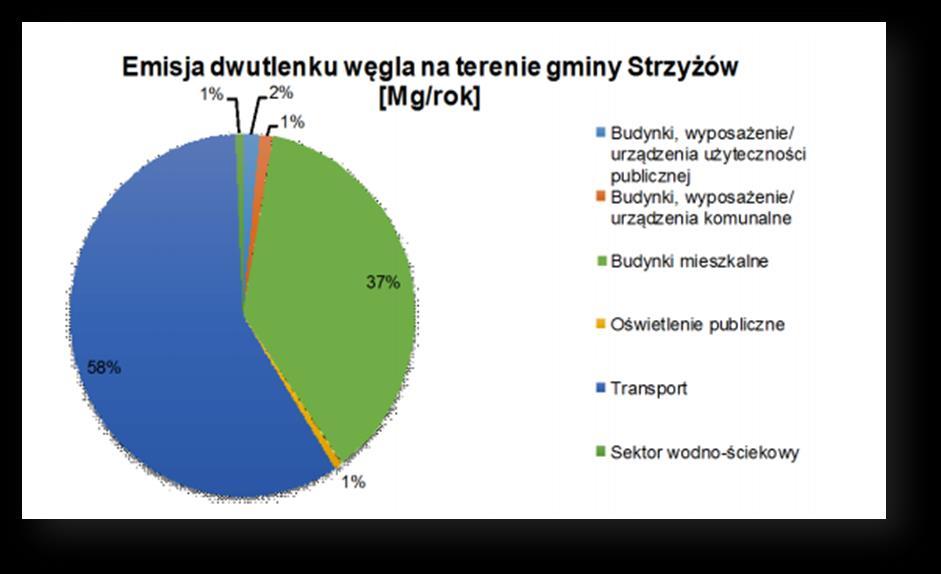 Zgodnie z pozyskanymi danymi przy opracowywaniu Planu Gospodarni Niskoemisyjnej dla Gminy Strzyżów 12 wynika, iż najczęściej stosowanym paliwem na terenie Gminy