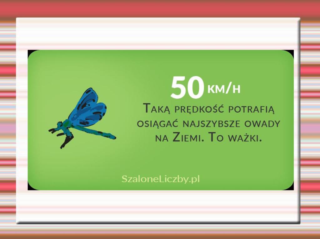 KONSPEKT LEKCJI
