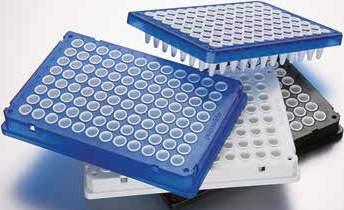 252 253 Eppendorf twin.tec PCR Plates Eppendorf twin.tec real-time PCR Plates PCR CONSUMABLES Eppendorf twin.tec PCR Plate 96, typu skirted150 µl PCR clean, bezbarwny, 25 szt. 0030 128.