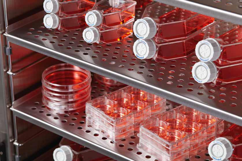W wyniku aktywacji z użyciem innowacyjnej technologii powstaje powierzchnia preparowana do hodowli tkankowej (TC treated) charakteryzująca się niezwykłą jednorodnością.