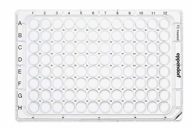 302 303 Cell Handling Cell Handling Eppendorf Cell Culture Plates Eppendorf Cell Culture Plates Opis Możesz teraz utrzymywać temperaturę komórek, zapobiegać efektowi krańcowemu i wykorzystywać