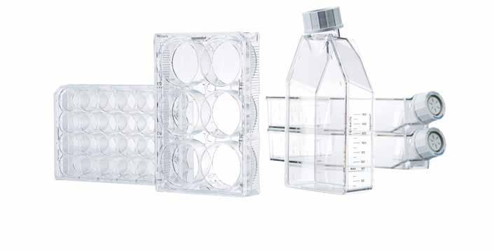 308 309 Cell Handling Cell Handling Eppendorf Cell Culture Consumables Eppendorf Cell Culture Plates, 6-Well, Sterylne, wolne od wykrywalnych ilości pirogenów, RNaz i Dnaz oraz DNA ludzkiego i