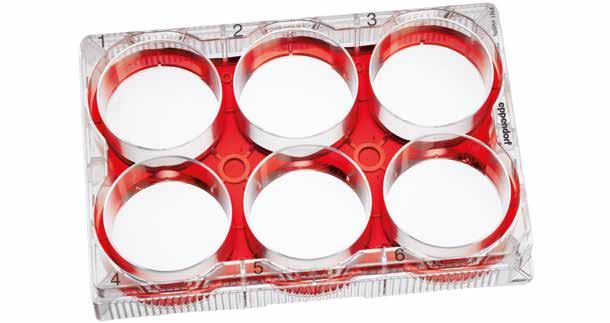 ISO 13485) CELL CULTURE CONSUMABLES Wolne od elementów obcych Kompatybilność Powlekane syntetycznymi motywami pochodzącymi od fibronektyny (konfiguracja steryczna zoptymalizowana, aby naśladować
