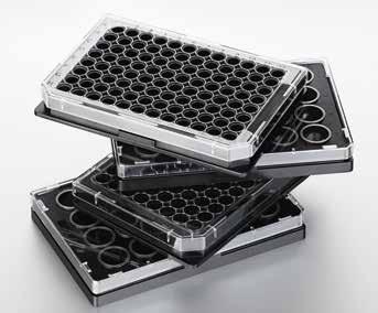 312 313 Cell Handling Cell Handling Eppendorf Cell Imaging Consumables Cechy produktu > Wyjątkowa skuteczność szklanych i foliowych powierzchni do hodowli komórek adherentnych dzięki innowacyjnej
