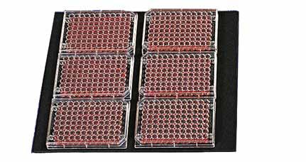 M1289-0060 309,00 Statyw do probówek, duża, 45 x 8 x12,9 cm SHAKERS Platformy dedykowane dostarczane są z zainstalowanymi uchwytami jednego rodzaju.