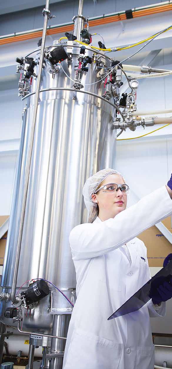 BIOPROCESSING Cechy produktu > Bioreaktory z funkcją sterylizacji na miejscu przeznaczone do zastosowań badawczo-rozwojowych i produkcyjnych > Modularna konstrukcja zapewnia pełną elastyczność