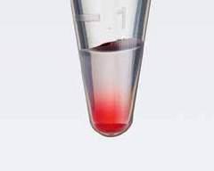MTP 5 s 1 100 rpm Mieszanie roztworów o wysokiej lepkości DNA genomowy PCR 30 s 2 000 rpm Zawieszanie osadów Płytki 384-dołkowe 30 s 2 800 rpm 30 s 3 000 rpm 30 s 2 000 rpm 5 s 2 000 rpm New Opis