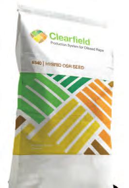 Clearfield to nowa technologia herbicydowa firmy BASF, pozwalająca na łatwą i skuteczną kontrolę chwastów w uprawie rzepaku ozimego.