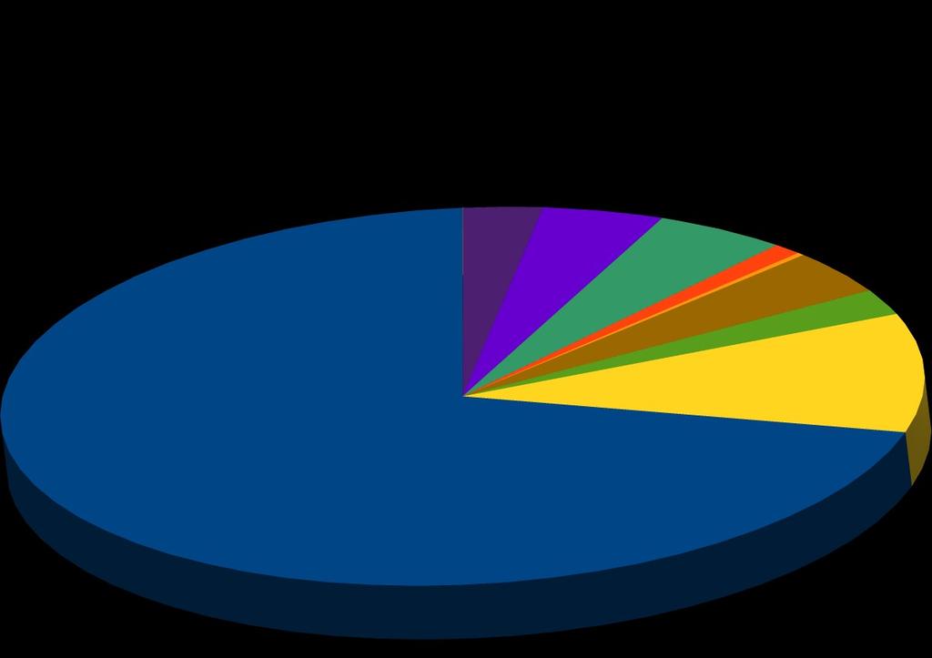 ILOŚĆ ODPADÓW Z GMINY JAKTORÓW W 2017 R 70,37 % (2646,736 ton, w tym 2347,870 ton z gminnego systemu) Zmieszane odpady komunalne (w tym pozostałość po segregacji) 10,20 %