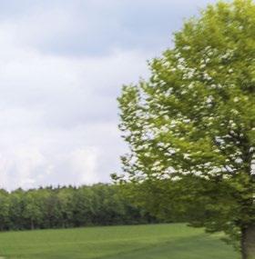 doskonałą oszczędność