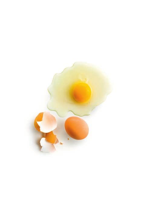 2011 Tupperware, wszelkie