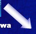 środowisko Zmienność