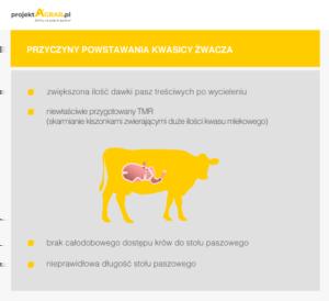 węglany i fosforany, naturalnie zabezpieczają żwacz przed zakwaszeniem jego treści.