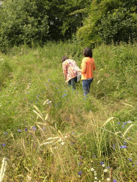 Możliwość realizacji prac dyplomowych w ramach projektów