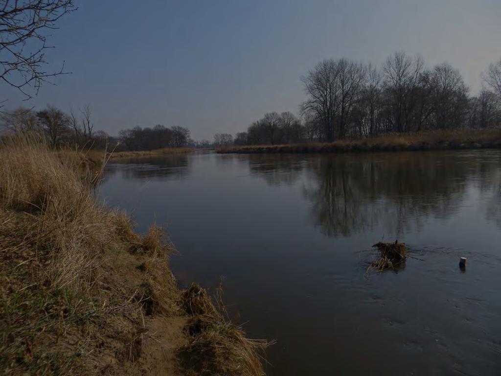 Rogaliński Park Krajobrazowy Rok utworzenia: 1997 Powierzchnia: