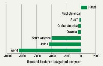 Roczna zmiana zalesienia netto State of the World's Forests 2007, Food and