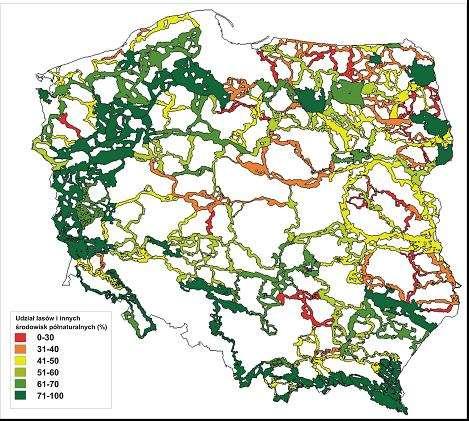 Procentowy udział lasów i innych środowisk półnaturalnych w powierzchni korytarzy