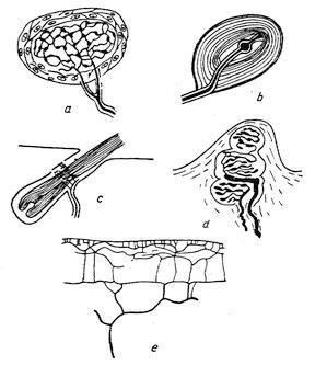 KODOWANIE INFORMACJI Kodowanie analogowe i