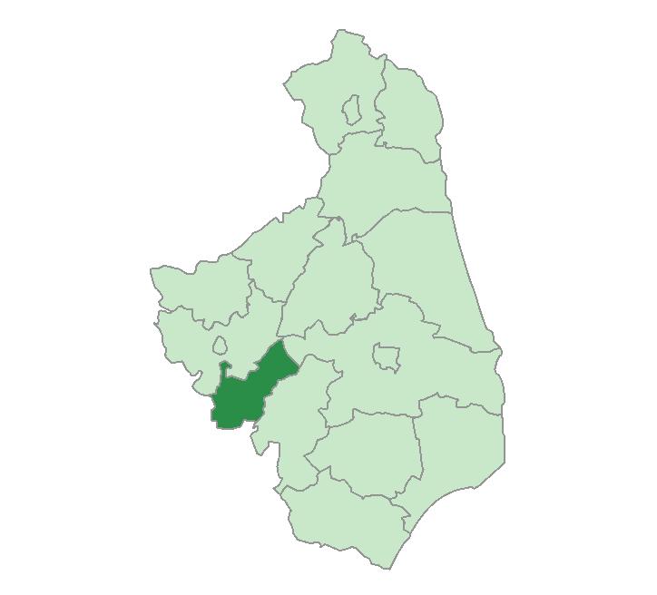12 GMINA WIEJSKA ZAMBRÓW POWIAT ZAMBROWSKI 2017 Liczba Wybrane dane statystyczne 2015 2016 2017 Ludność 9010 8967 8969 Ludność na 1 km²