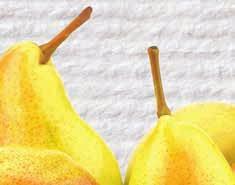 Ananas luz 1 kg