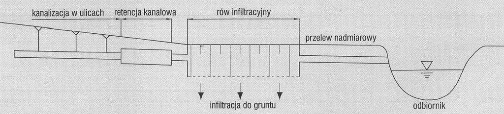 W dolinie rzeki Białej pomiędzy ulicami Generała Władysława Sikorskiego, Aleją Jana Pawła II, Aleją Niepodległości oraz ulicą Niską należy wykonać oczyszczenie i udrożnienie rowów melioracyjnych,