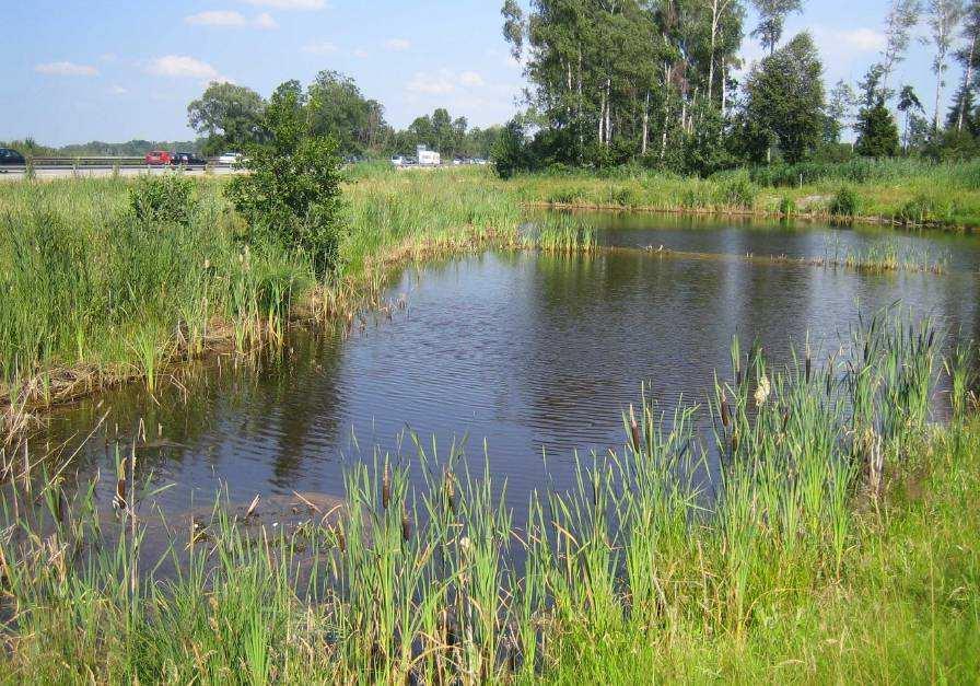planowaną budowę zbiornika retencyjnego.