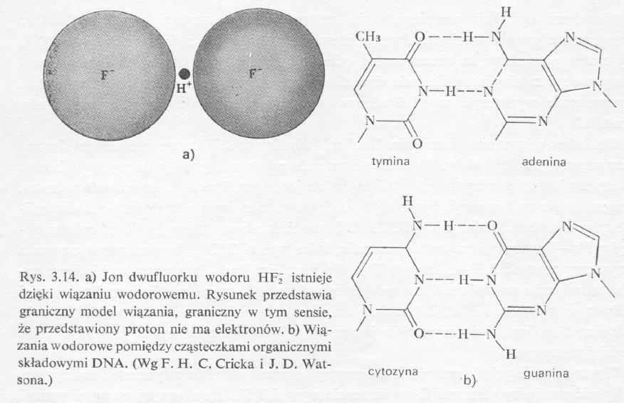 Wiązanie wodorowe Wiązanie wodorowe (energia około 0,1 ev) owstaje tylko omiędzy atomami o największej