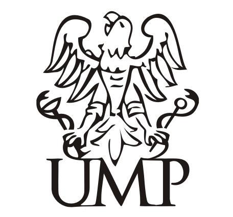i logotypu