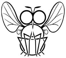 Biuletyn Sekcji Dipterologicznej Polskiego Towarzystwa Entomologicznego DIPTERON Bulletin of the Dipterological Section of the Polish Entomological Society ISSN 1895-4464 Tom 35: 1-7 Akceptacja: 15.