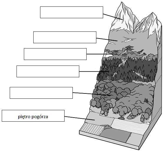 Zadanie 20. (1 p.) Wpisz w odpowiednie miejsca na schemacie nazwy pięter roślinnych występujących w Tatrach. Zadanie 21. (2 p.