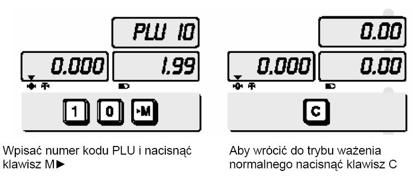 8.4 Wywoływanie kodów