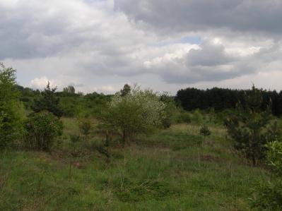 powierzchni. Stan z dnia 2011.05.05 Fot.