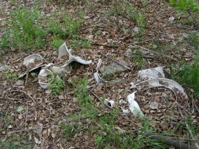 41 Widok północnego cypla powierzchni od strony zachodniej. Stan z 2001.05.05 Fot.