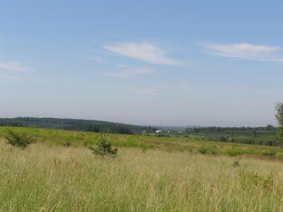 Powierzchnia 00136 - Na W od Balina Małego, na E od Cezarówki Dolnej, S stok wzgórza Góra Łazy,